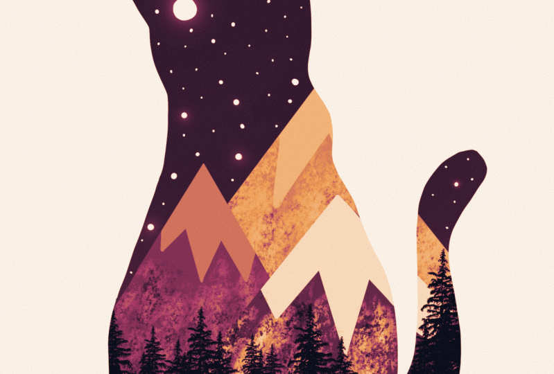 Cat Landscape