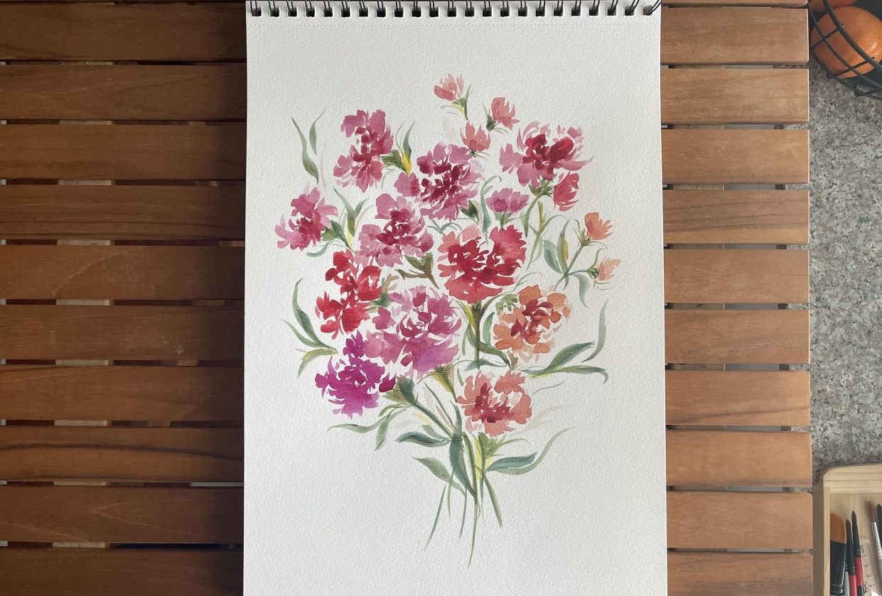 Carnations - student project