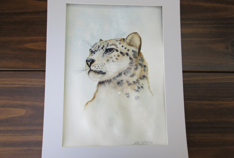 Snow Leopard