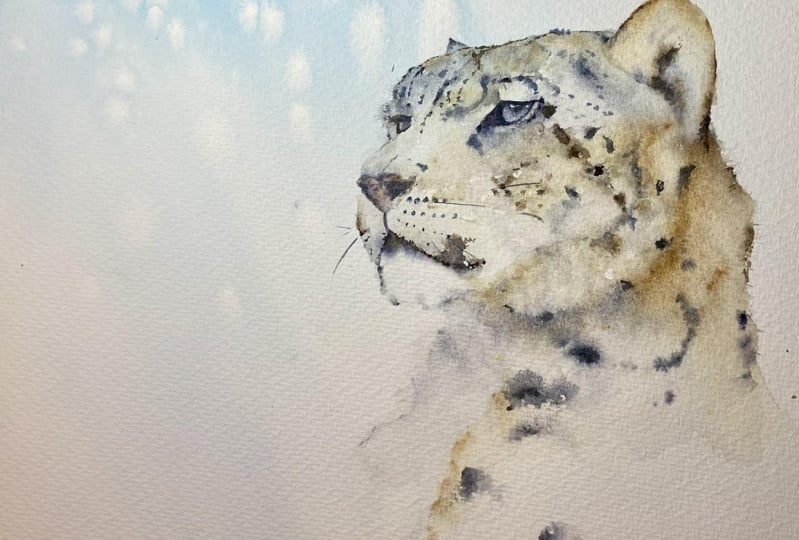 Snow Leopard