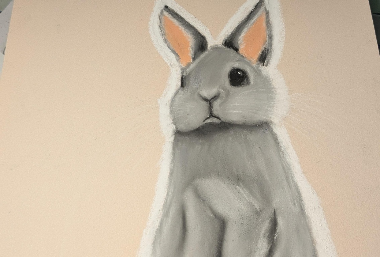 Only the bunny - student project