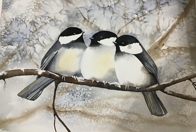 Watercolour birds and branches