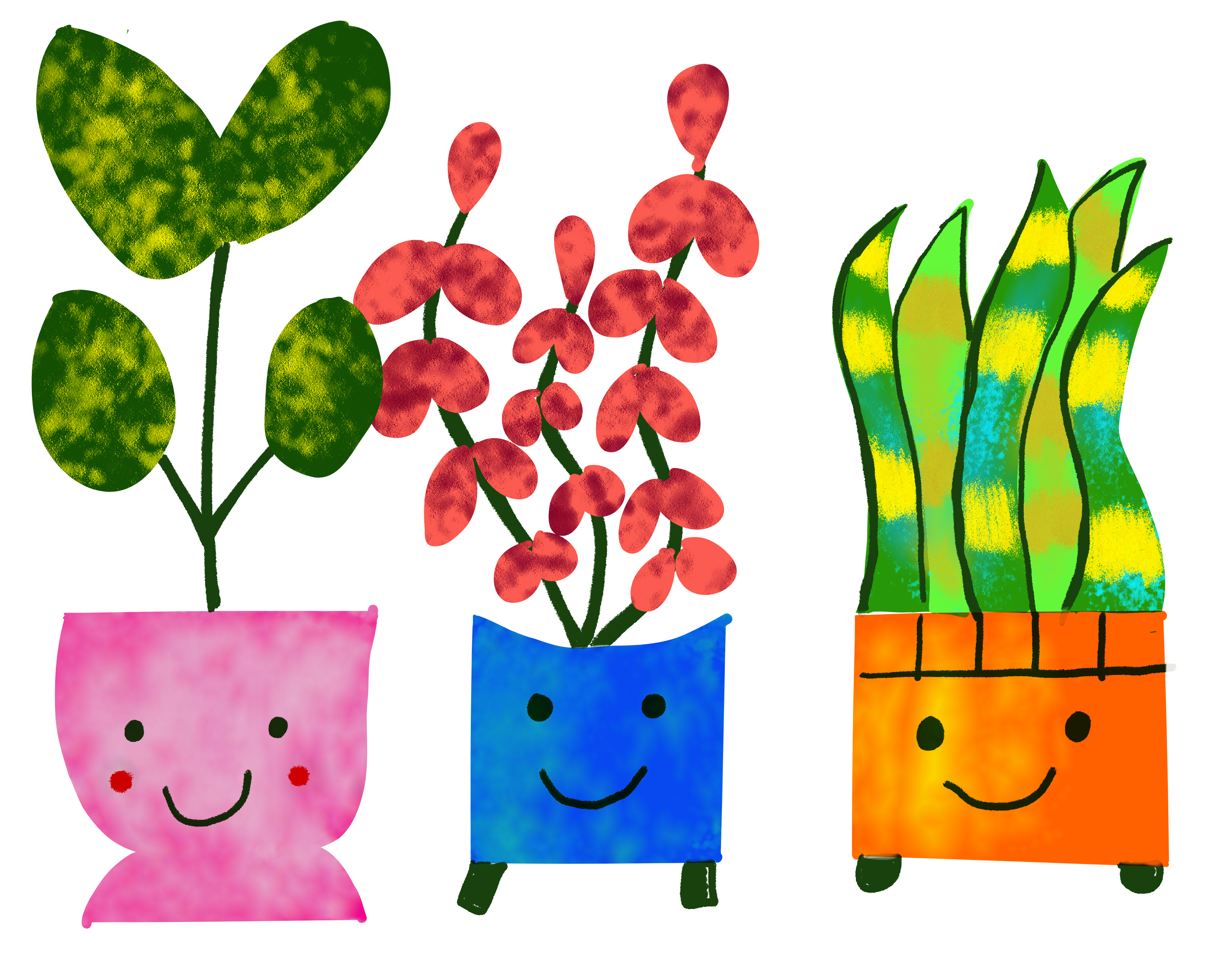 more-projects-from-class-img