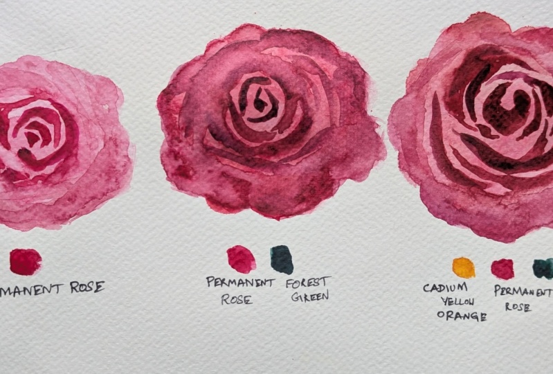 Painting Lifelike Watercolor Roses: Easy Techniques to Add Volume