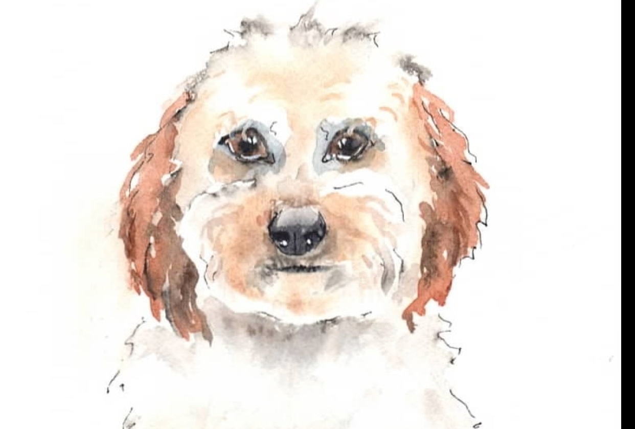 My friend's puppy - student project