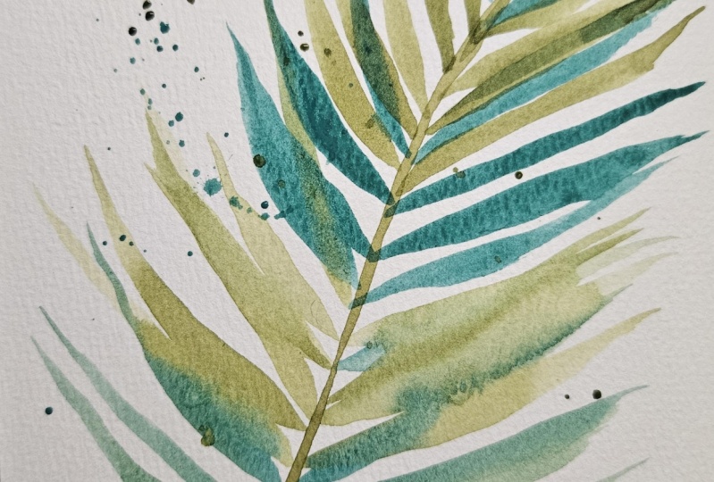 Abstract areca palm