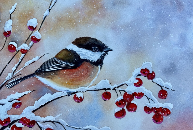 Cozy Winter Chickadee