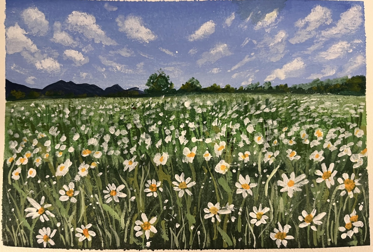 field of dasies - student project