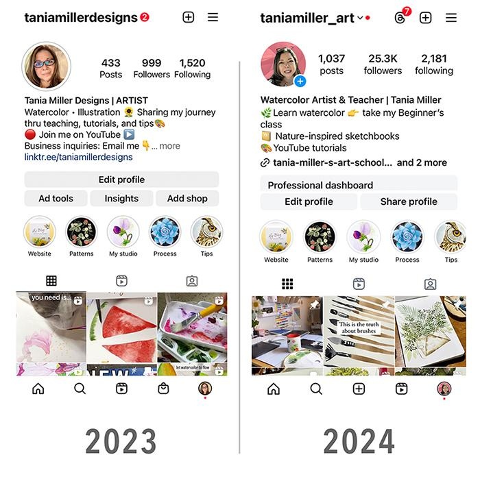 2023 vs 2024 Instagram profile renewed - student project