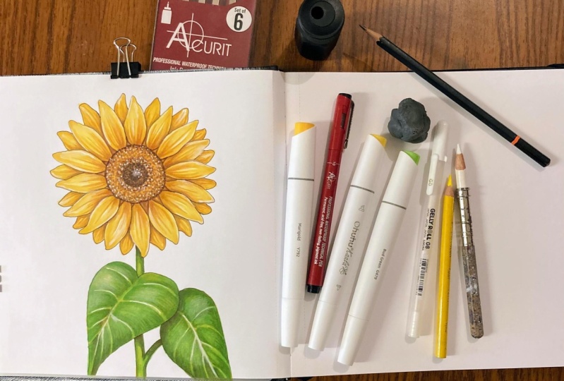 Sunflower - Alcohol Ink & Colored Pencil