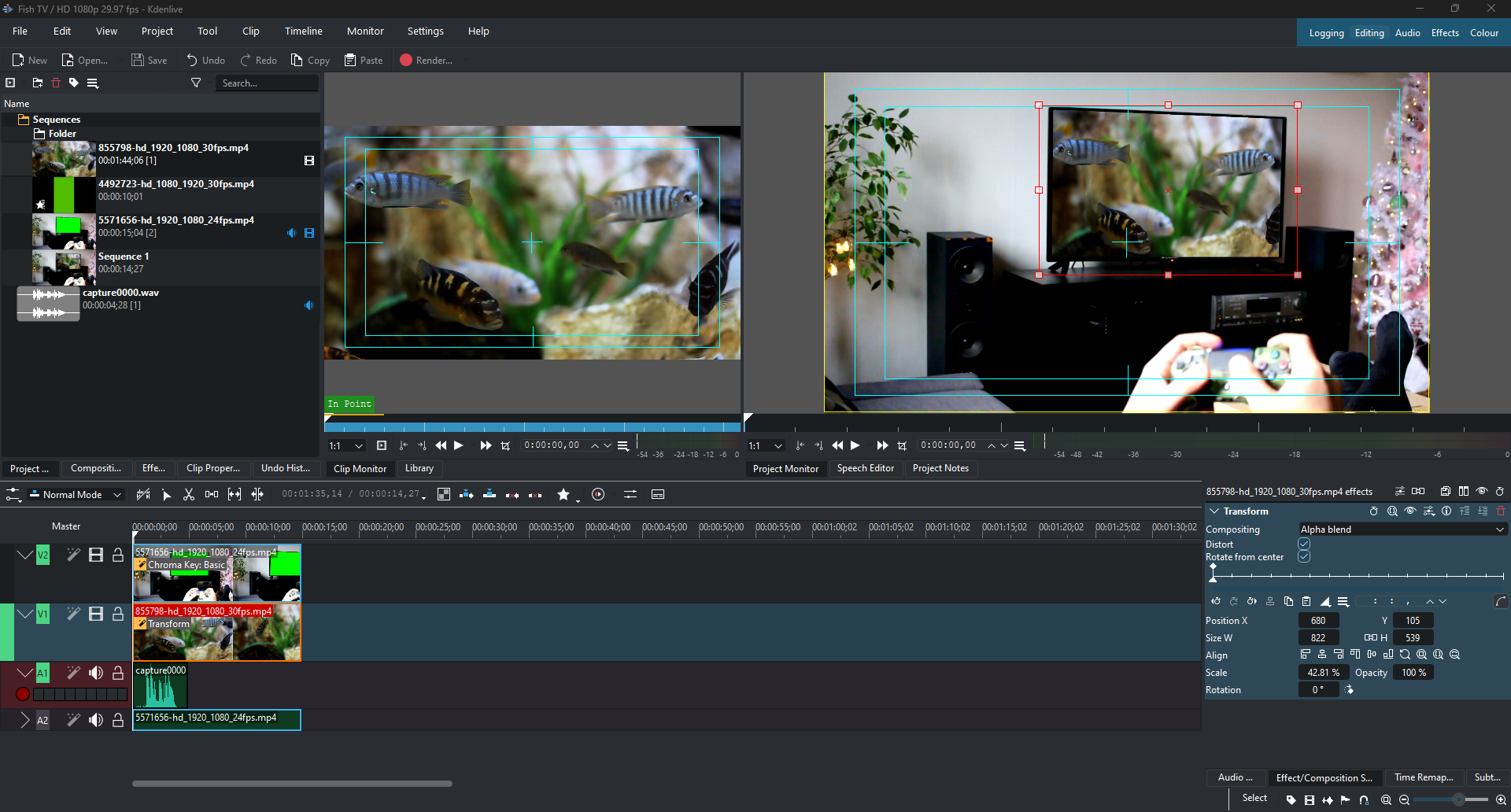 Fish TV - student project