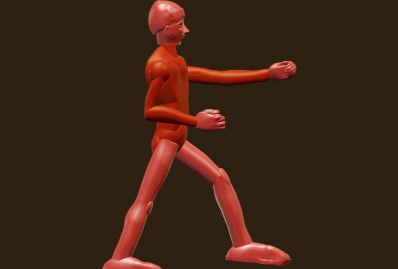 3d stylized anatomy