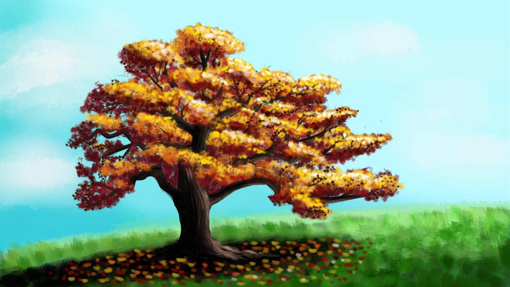 more-projects-from-class-img