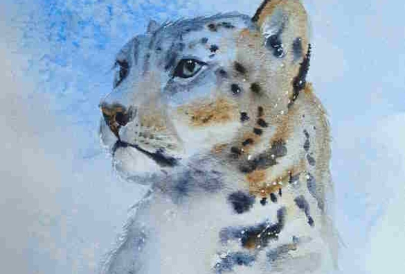 Snow leopard