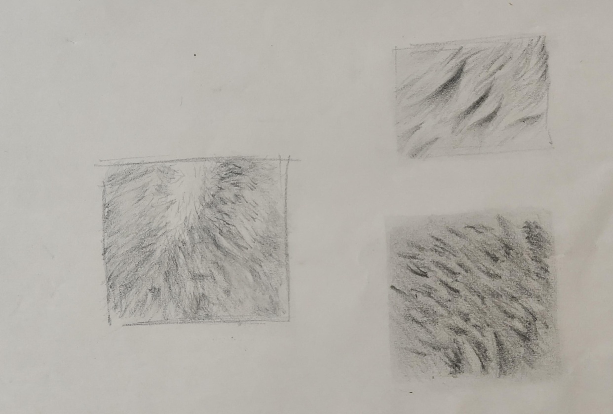 Fur - student project