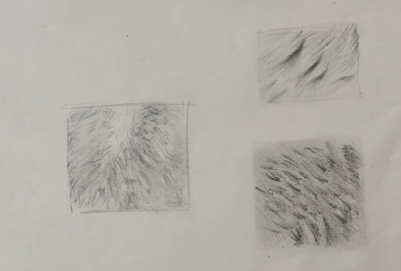 Fur