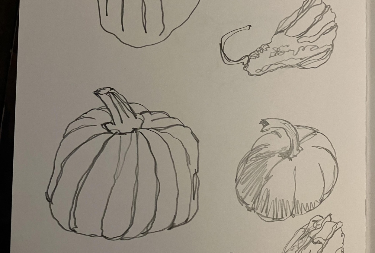 Contour drawings - student project