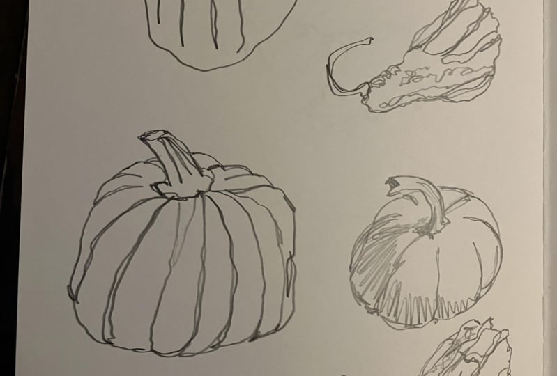 Contour drawings