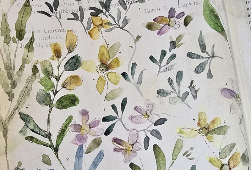 Flower practice in a vintage book!