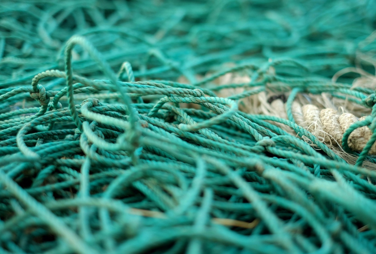 Stratégie de contenu - Fabricant d'engins de pêche - student project