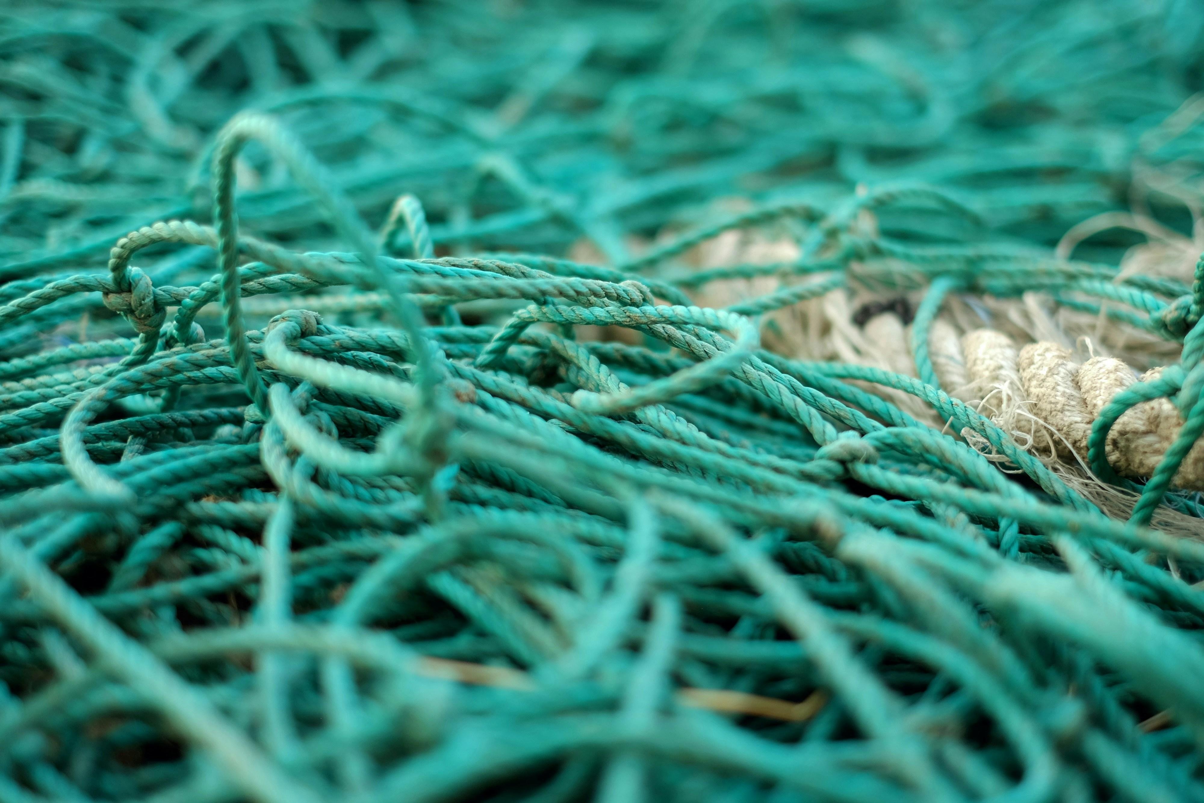 Stratégie de contenu - Fabricant d'engins de pêche - student project