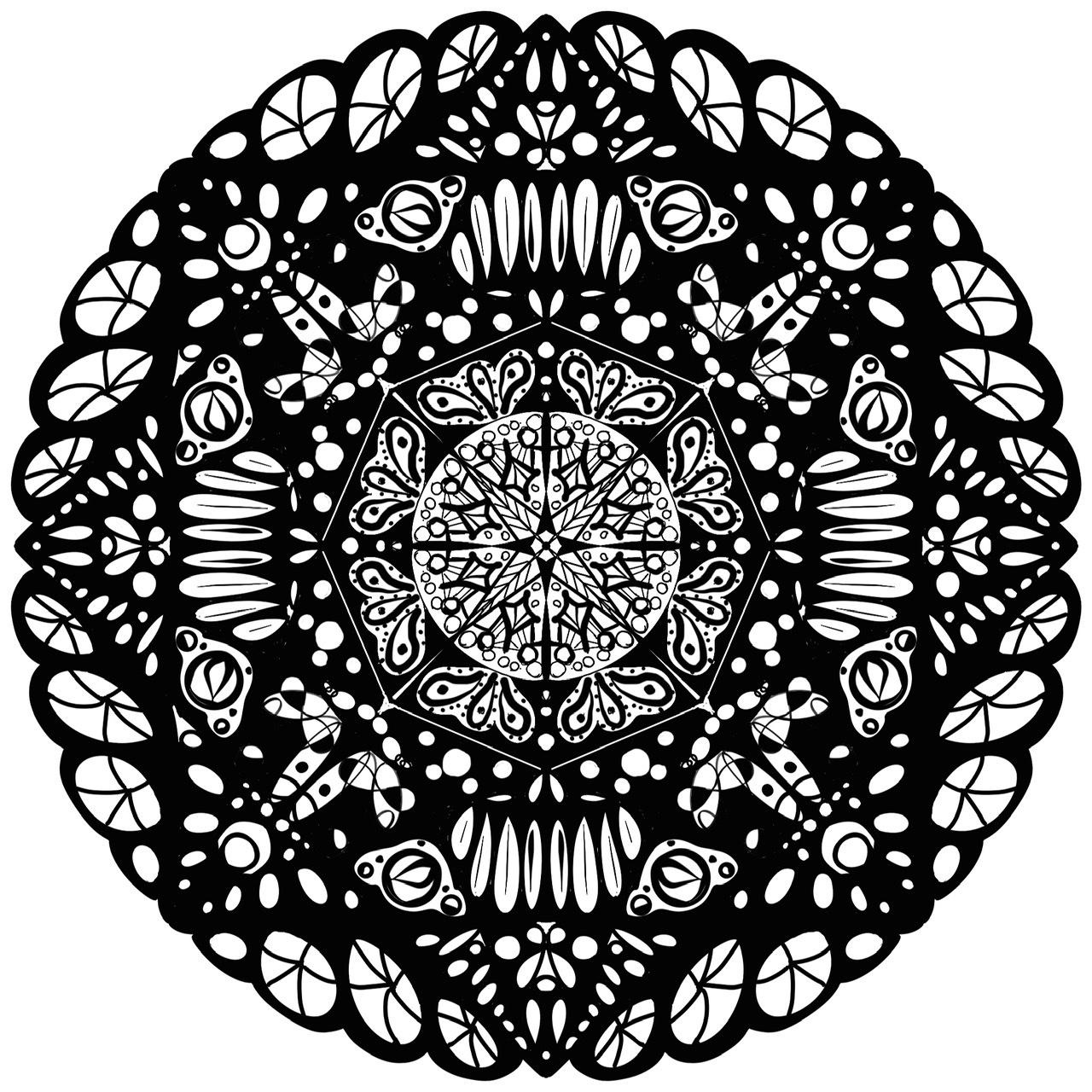 more-projects-from-class-img