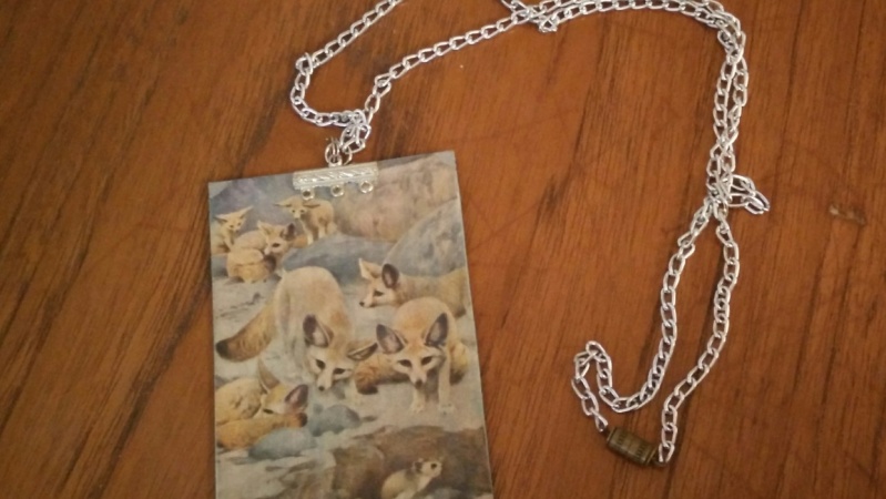 Foxes 