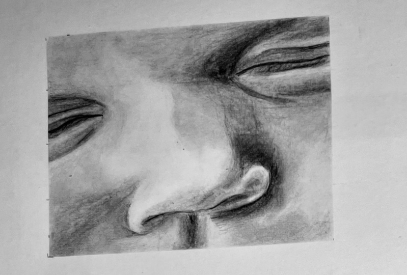 Nose studies