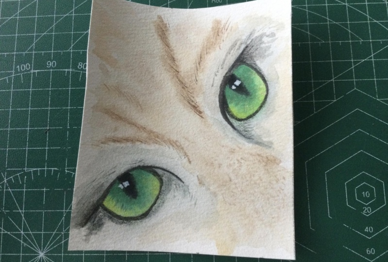 Eye’ve finished!