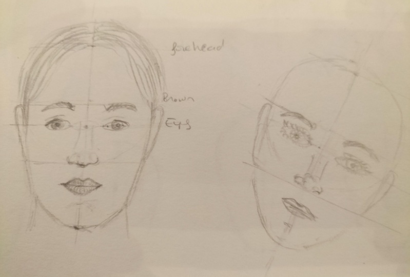 Introduction portrait 2D, 3D