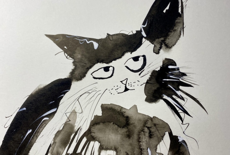 Grumpy cats