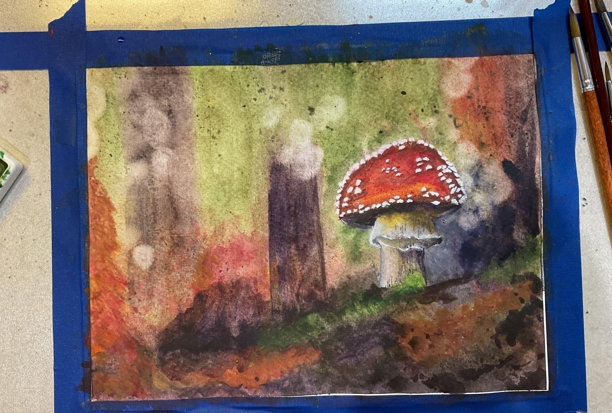 Mushroom - student project