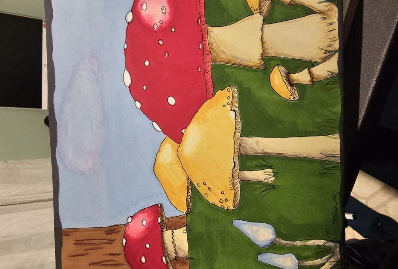 Fungi