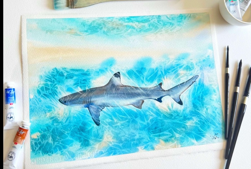Sunlit Shark