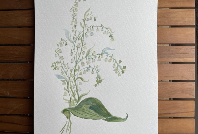 Lily of the valley