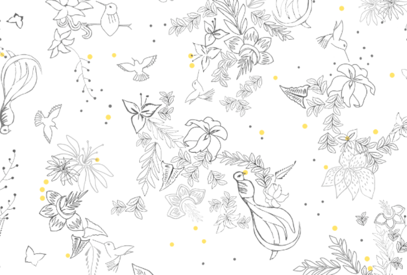 Quetzal Black and White Print