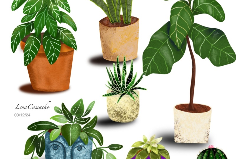 House plants