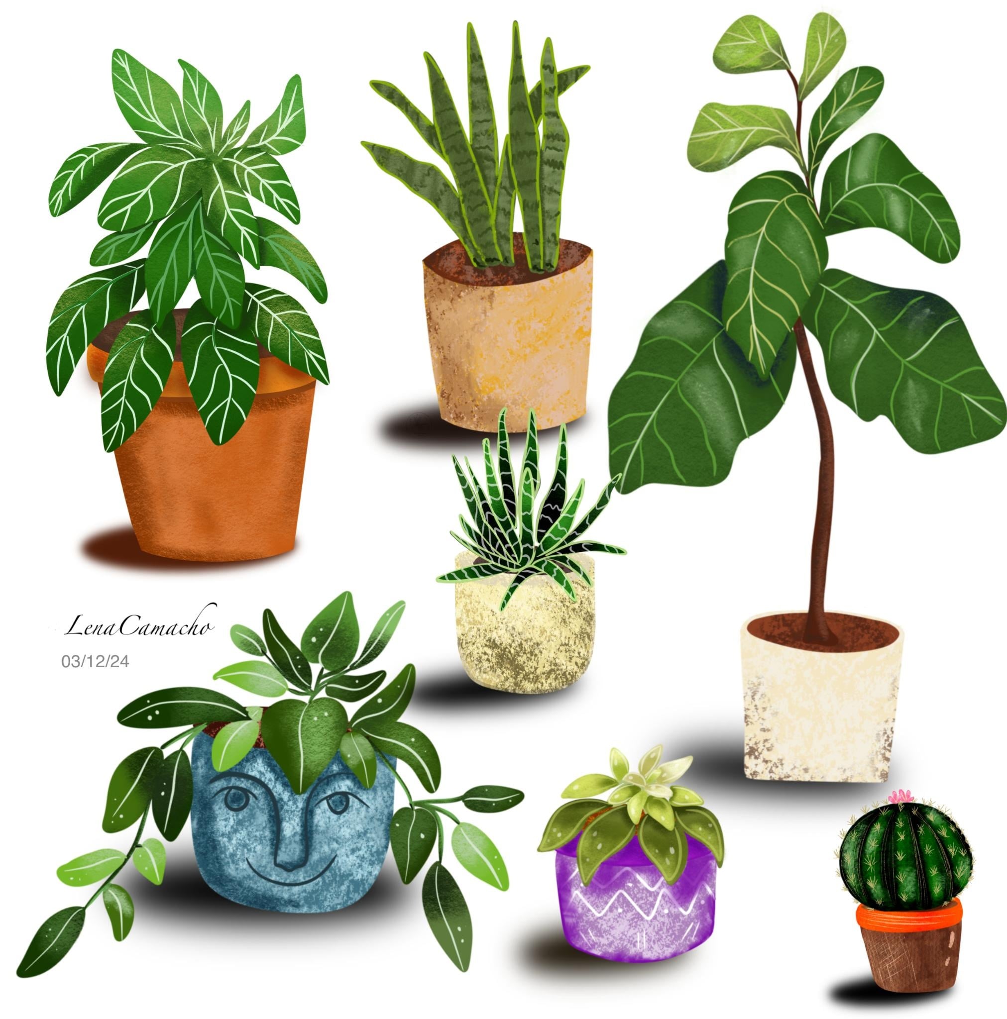 more-projects-from-class-img