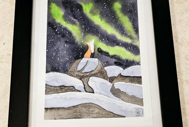 Fox and northen lights
