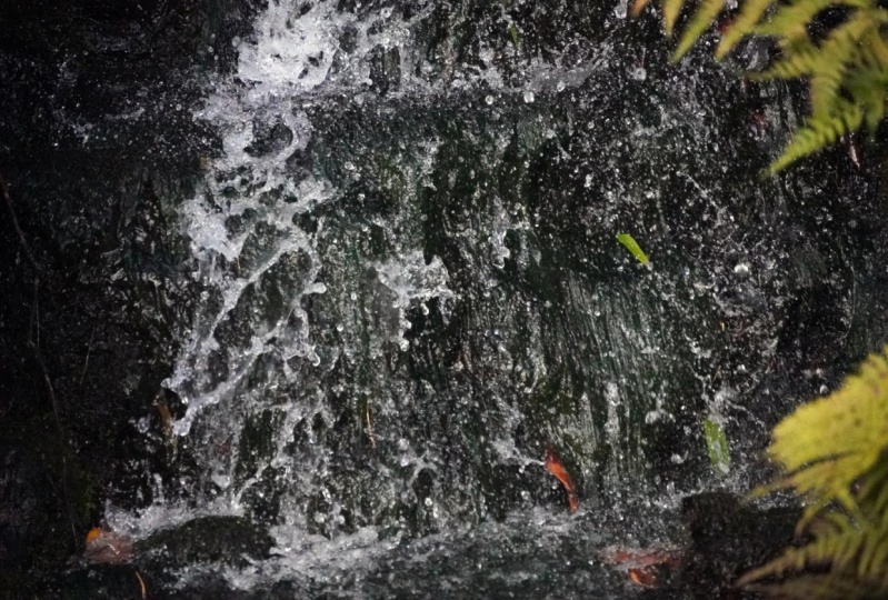 Shutter Speed: Fast and Slow