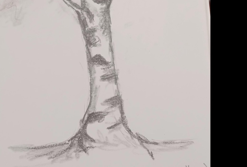 3 Types of Trees