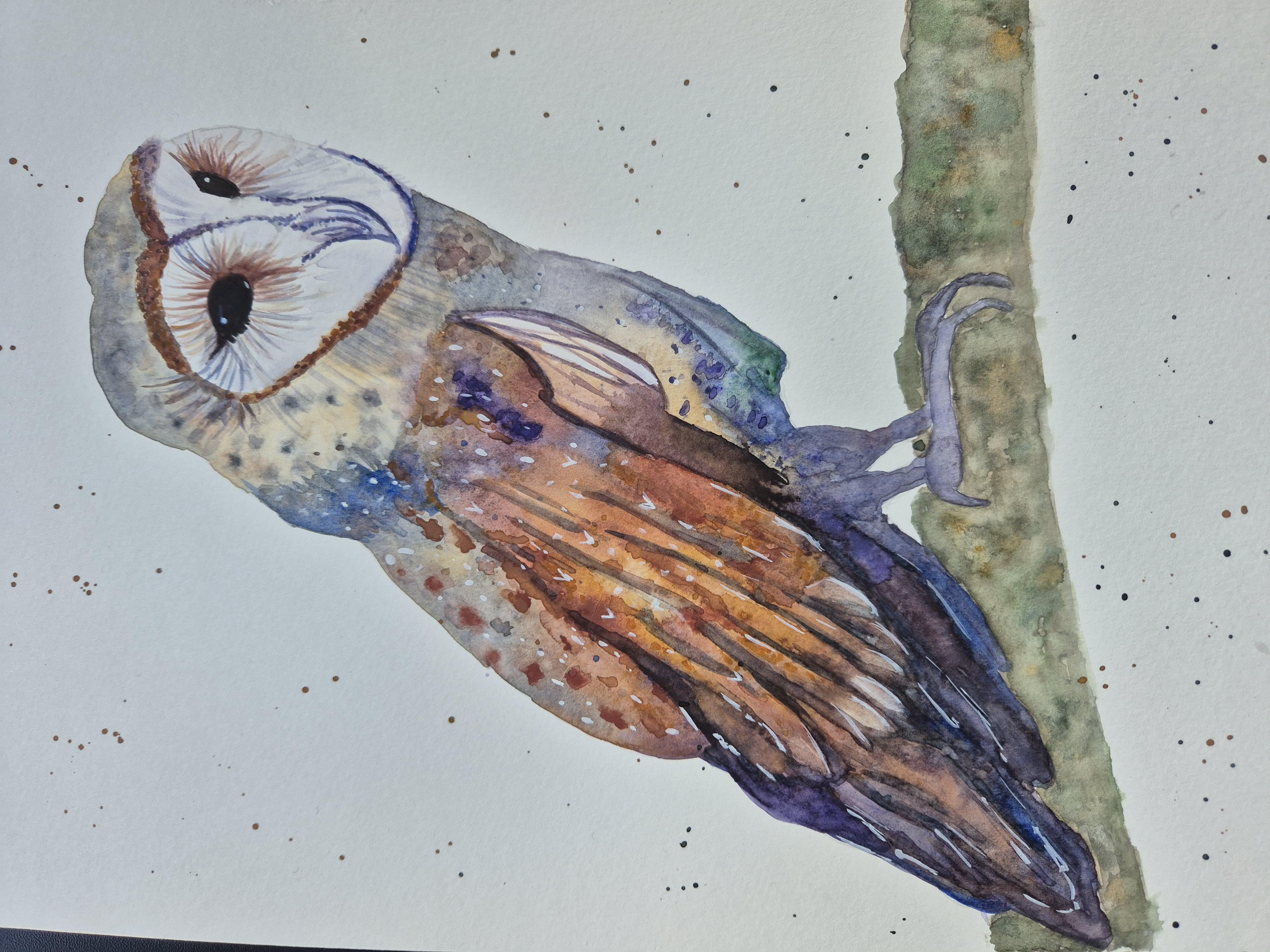 more-projects-from-class-img