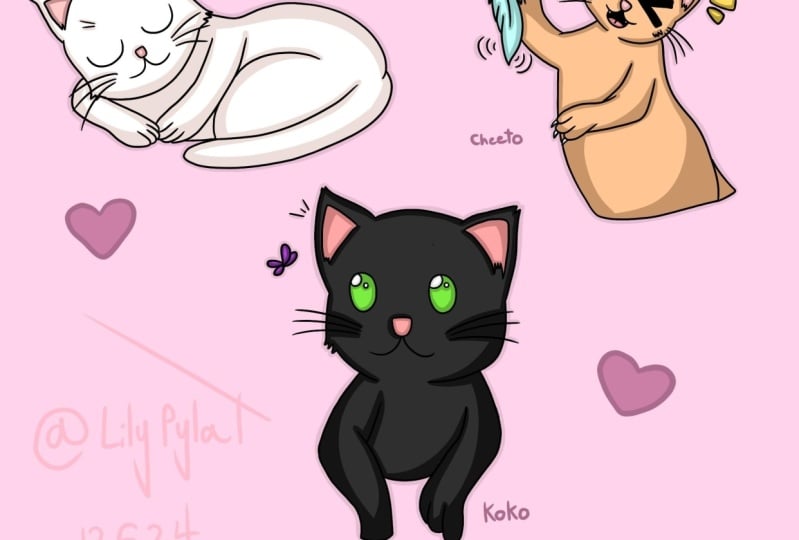 Hanpen, Koko and Cheeto ( The cat trio )