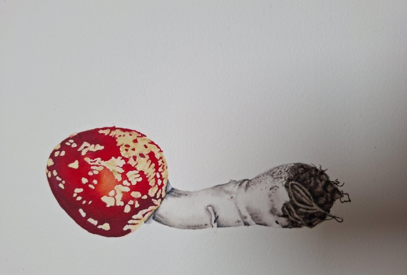 Mushroom