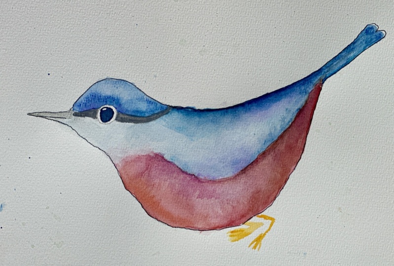 Bird and red breasted nuthatch