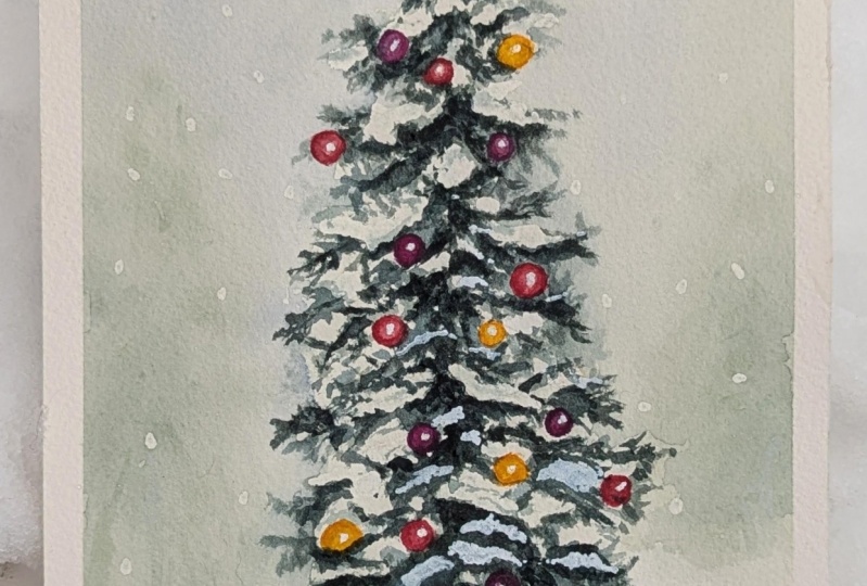 Festive Spruce