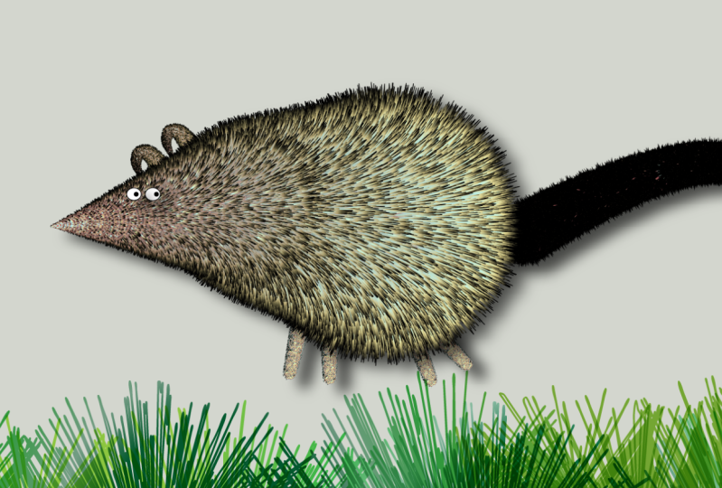 Furry Rat Friend in Illustrator