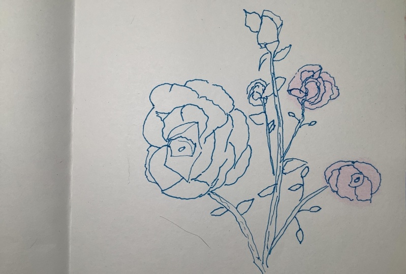 Roses
