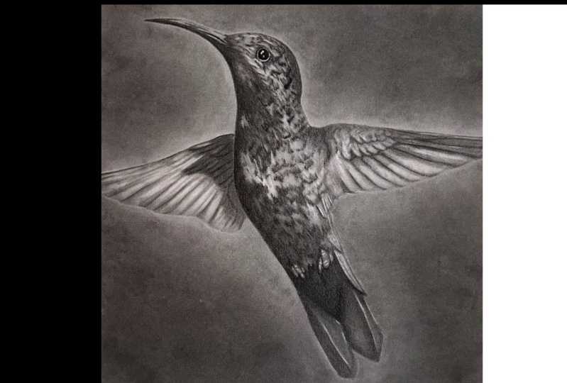 Charcoal HB