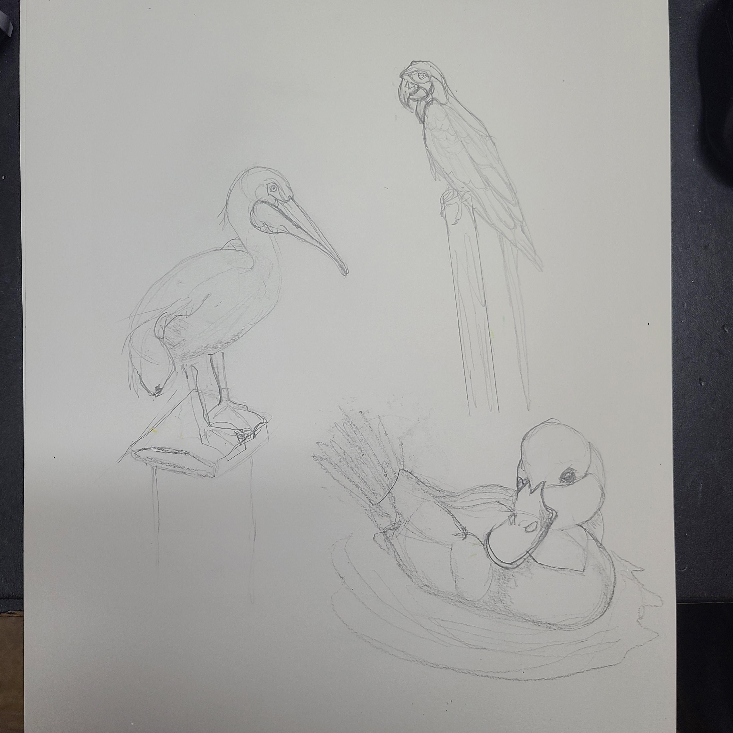 more-projects-from-class-img